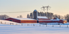 Snow Covered