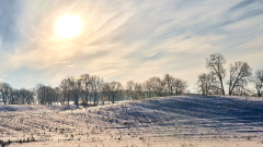 Winter Respite