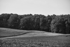 Aug-07-20210-7
