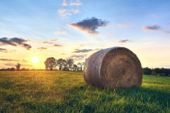 Sunset Bale