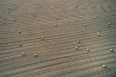 Rolling Bails