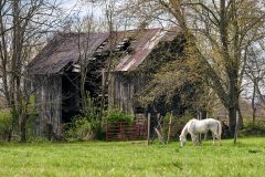 DSC_079015Apr-26-2020