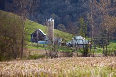 DSC_122815Apr-29-2020