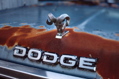 Dodge Truck Hood Ornament