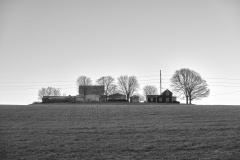 DSC_1413Dec-12-20210
