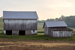 DSC_1607