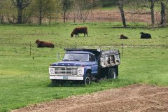 DSC_179415May-02-2020