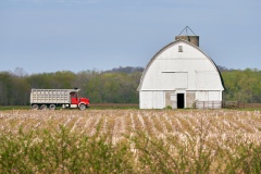 DSC_189115May-02-2020