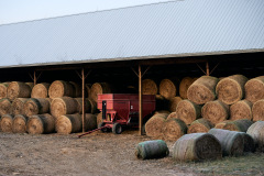 Stored Hay