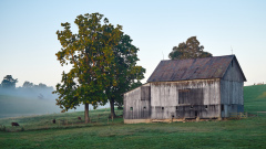 DSC_2776Sep-18-20210
