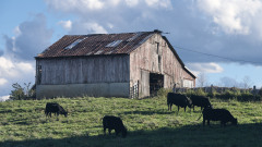 DSC_3579Sep-27-20210