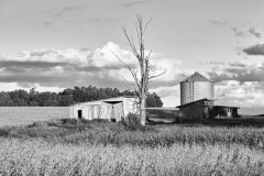DSC_3765Sep-27-20210