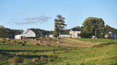 DSC_3786Sep-27-20210