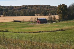 DSC_5930Oct-16-202202016