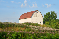 DSC_6122