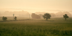 DSC_6775