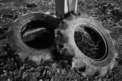 Old Tractor Tires