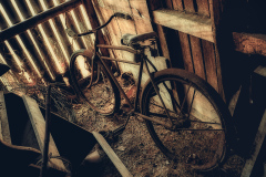 Rusted Bike