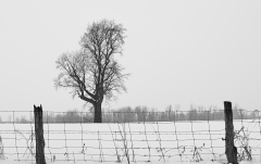 Feb-22-20152280