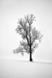 Feb-22-20152286