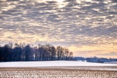 Winter Morning Clouds