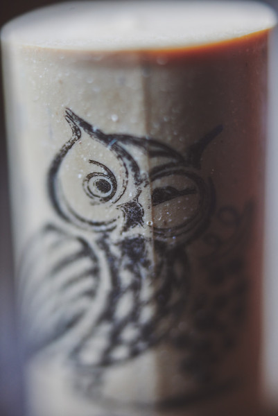 Owl Cork