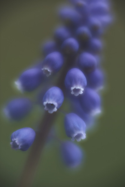 2021-04-11-00.45.218336