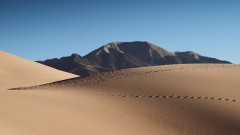Sand Trails