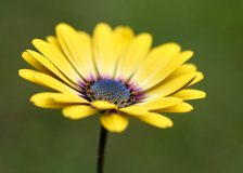 DSC_196215May-05-2020