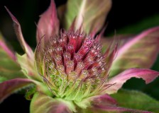 DSC_2283Jul-02-20230