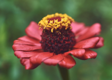 DSC_3878Sep-09-20220
