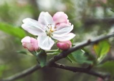 DSC_7725Apr-30-20230