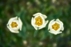 DSC_7838May-12-20230
