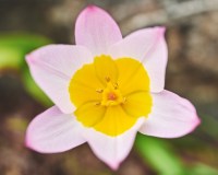 DSC_7893May-12-20230