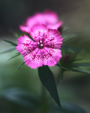 DSC_8168Jun-05-20220-2