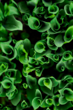 May-04-20157084-1