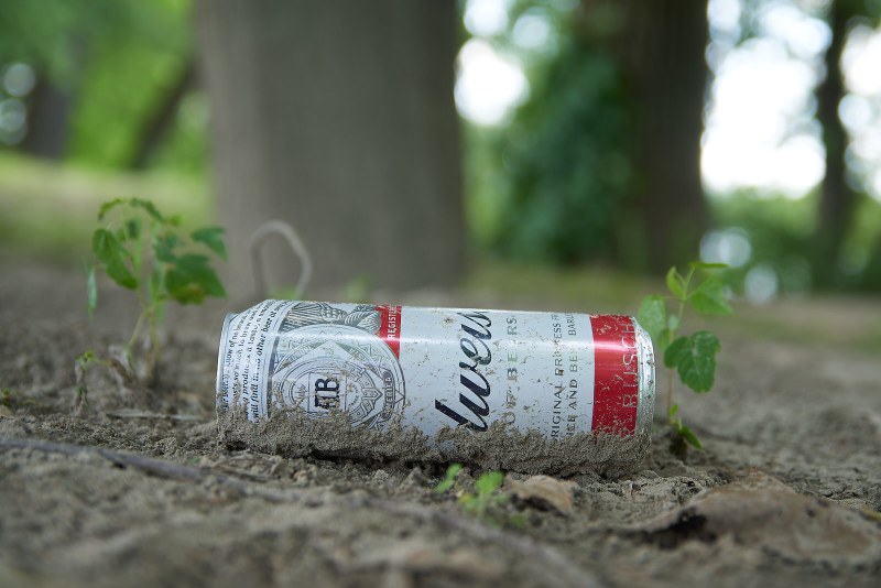 Bud