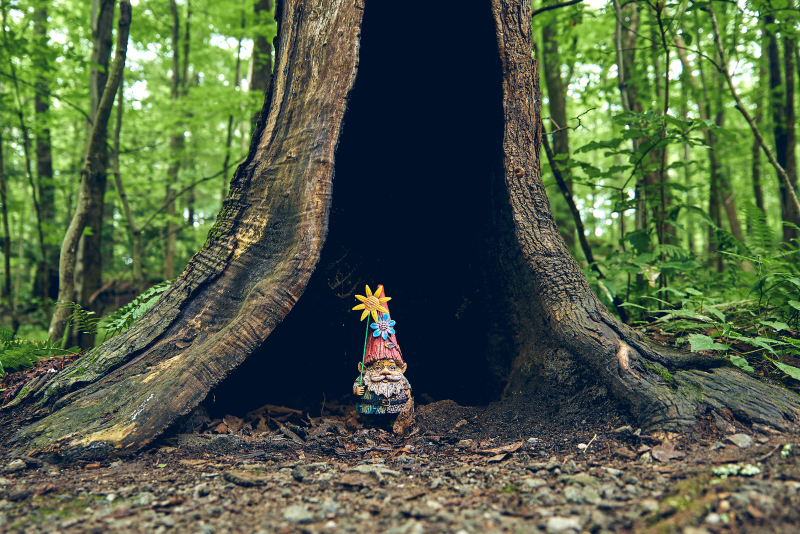Tree Friend
