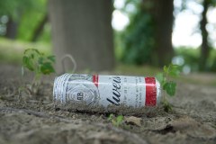 Bud