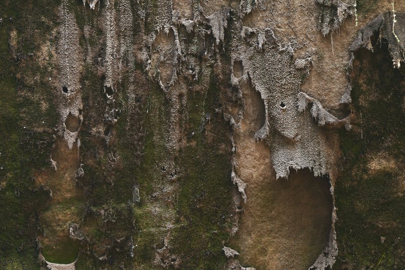 Rock Cover Textures