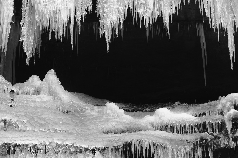 Ice Beauty