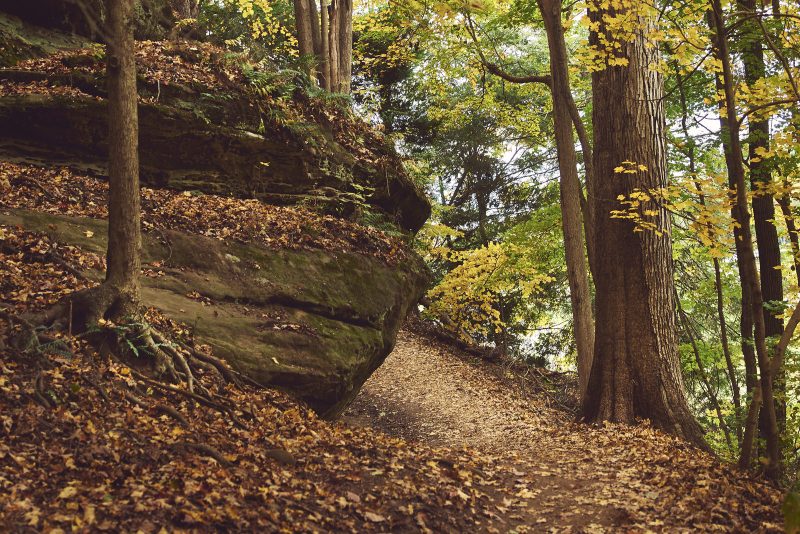 Pathway Turn