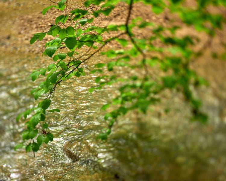 Touching Water