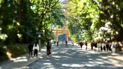Meiji Jingu Entrance