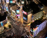 Shibuya Crossing Night Lights
