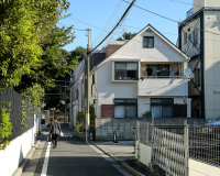 Neighborhood Streets