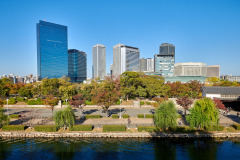 Osaka Skyline View