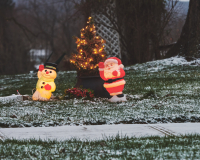 DSC_1648Dec-18-20220