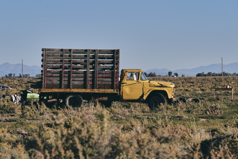 Wooden Cargo Bed
