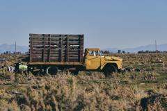 Wooden Cargo Bed